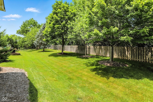 6570 Freemont Ln, Carmel, IN 46033 - view of fenced backyard