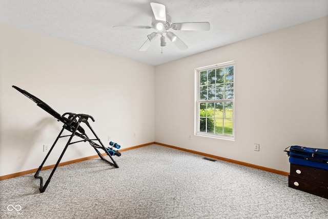 8638 W Flatwoods Rd, Gosport, IN 47433 - workout area with carpet, ceiling fan, and a textured ceiling