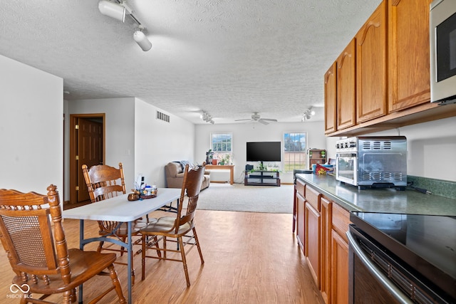 8638 W Flatwoods Rd, Gosport, IN 47433 - dining area with a textured ceiling, rail lighting, a ceiling fan, and light wood-style floors