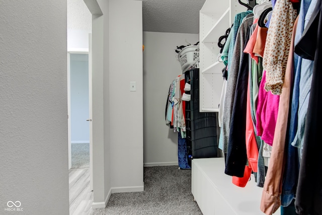 9593 W Constellation Dr, Pendleton, IN 46064 - walk in closet featuring carpet