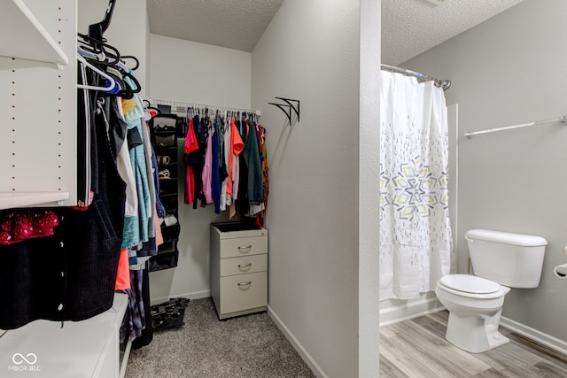 9593 W Constellation Dr, Pendleton, IN 46064 - view of walk in closet