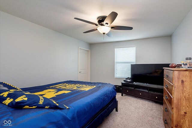 6664 Kara Ln, Brownsburg, IN 46112 - photo 30