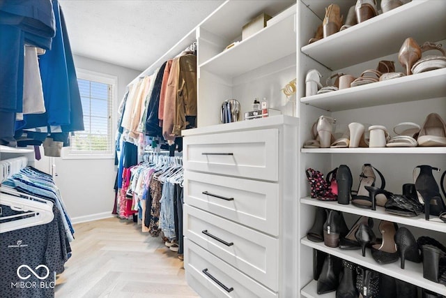 5542 Pennycress Dr, Noblesville, IN 46062 - view of spacious closet