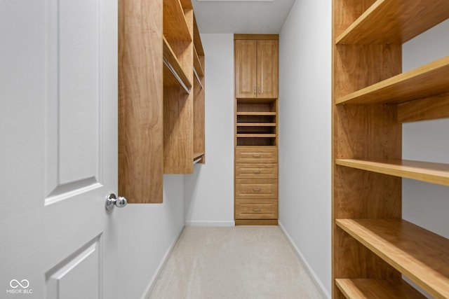 13019 Pinner Ave, Fishers, IN 46037 - walk in closet featuring light colored carpet