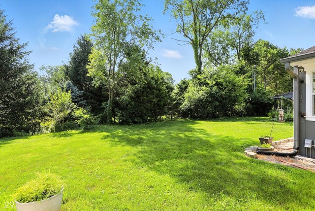 2227 Hidden Orchard Ct, Indianapolis, IN 46228 - photo 59