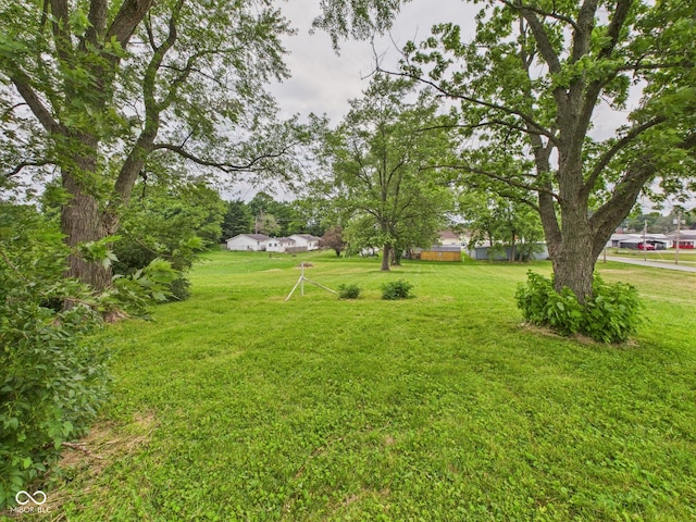 203 Plum St E, Frankton, IN 46044 - view of grassy yard