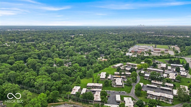 7502 Colony Cir, Indianapolis, IN 46260 - drone / aerial view of a forest