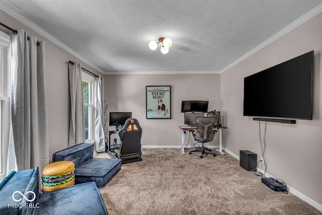 7502 Colony Cir, Indianapolis, IN 46260 - office space with carpet flooring, crown molding, and a textured ceiling