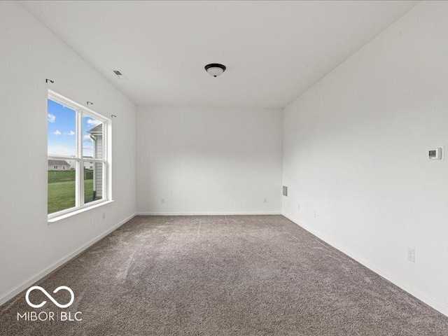 1456 Willow Tree Ln, Sheridan, IN 46069 - photo 11