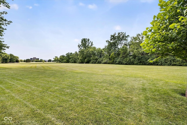 13470 Shakamac Dr, Carmel, IN 46032 - view of grassy yard featuring view of wooded area