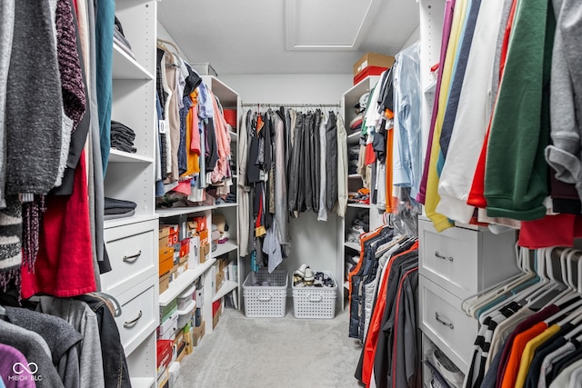3969 Canning St, Danville, IN 46122 - spacious closet featuring attic access and carpet floors