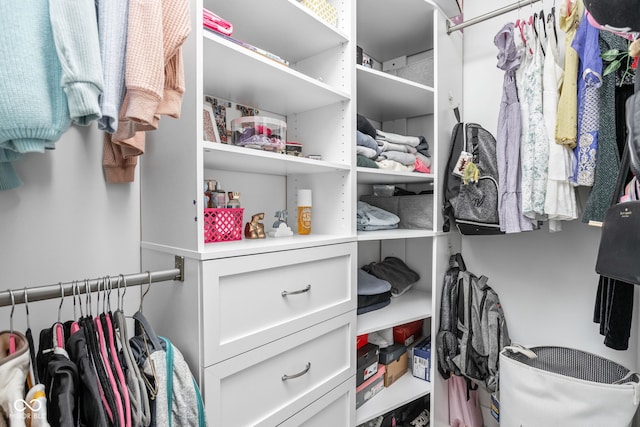 3969 Canning St, Danville, IN 46122 - view of spacious closet