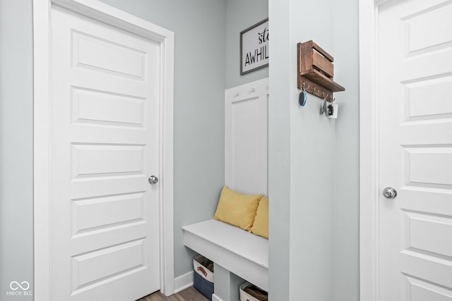 3969 Canning St, Danville, IN 46122 - mudroom featuring wood finished floors