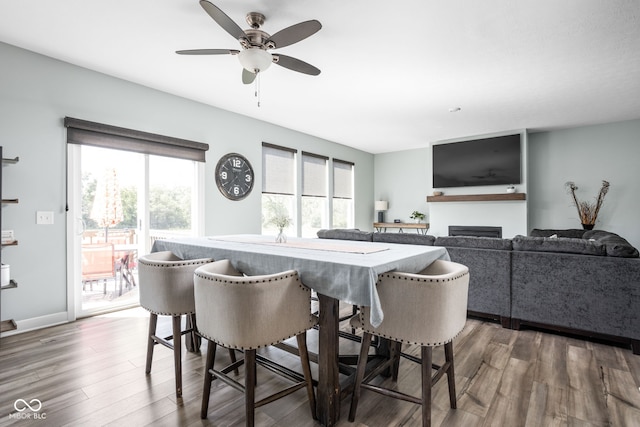 3969 Canning St, Danville, IN 46122 - dining space with ceiling fan, a fireplace, and wood finished floors