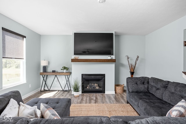 3969 Canning St, Danville, IN 46122 - living room with wood finished floors and a glass covered fireplace