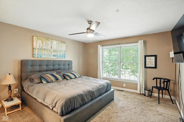 1013 Chapman Blvd, Greenfield, IN 46140 - photo 19