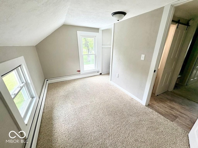1076 N Old Highway 27, Winchester, IN 47394 - bonus room featuring vaulted ceiling, carpet floors, a textured ceiling, and a barn door