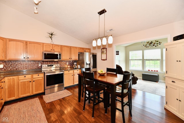 9022 Hosta Way, Camby, IN 46113 - kitchen with stainless steel appliances, dark wood-type flooring, backsplash, lofted ceiling, and dark countertops