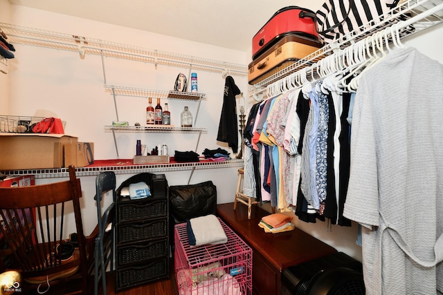 9022 Hosta Way, Camby, IN 46113 - walk in closet featuring wood finished floors