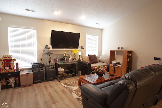 291 Lakemoore St, Brownsburg, IN 46112 - living area featuring light wood-style floors and a textured ceiling