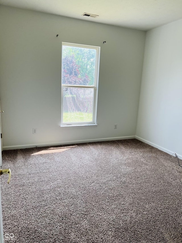 9987 Rainbow Falls Ln, Fishers, IN 46037 - photo 14