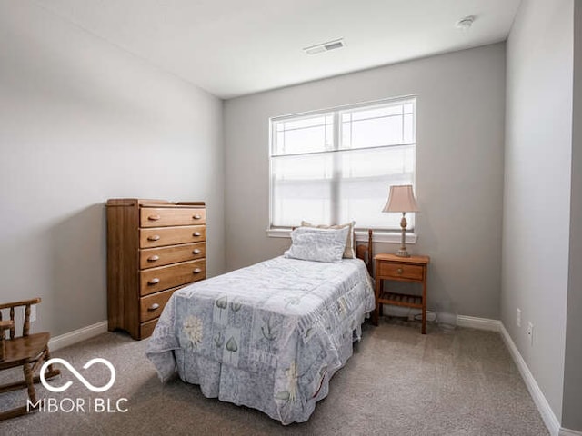 8866 Twain Ln, Indianapolis, IN 46239 - bedroom with carpet flooring