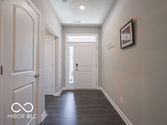 8866 Twain Ln, Indianapolis, IN 46239 - foyer entrance featuring dark wood-type flooring and plenty of natural light