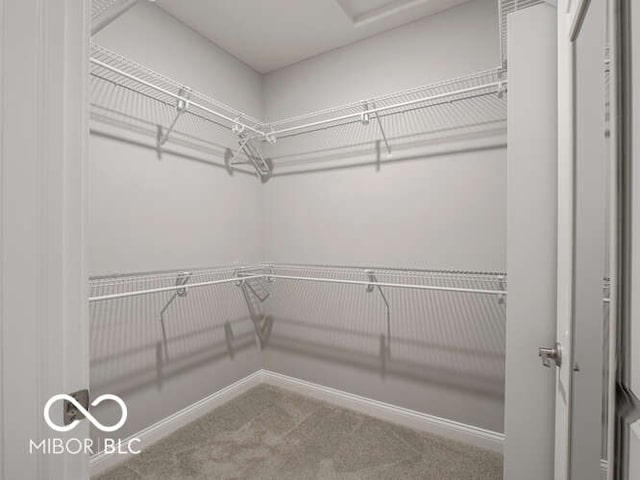 8866 Twain Ln, Indianapolis, IN 46239 - walk in closet with carpet