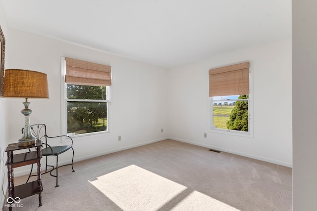 1016 W Creek Ridge Dr, Fountaintown, IN 46130 - empty room with plenty of natural light and carpet