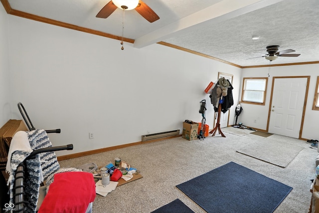 95 S 11th Ave, Beech Grove, IN 46107 - exercise room with ceiling fan, crown molding, carpet flooring, and a baseboard radiator