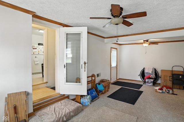 95 S 11th Ave, Beech Grove, IN 46107 - workout area featuring ornamental molding, ceiling fan, a textured ceiling, and carpet flooring
