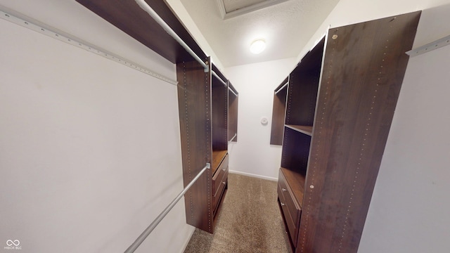 2259 Colfax Ln Unit 2259, Indianapolis, IN 46260 - walk in closet with dark carpet