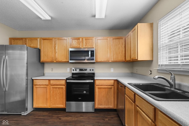 5519 Apple Branch Way, Indianapolis, IN 46237 - photo 8