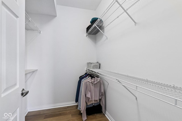16636 Brownstone Ct, Westfield, IN 46074 - walk in closet featuring wood finished floors