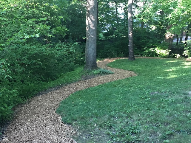 8550 Tidewater Ct, Indianapolis, IN 46236 - view of green lawn
