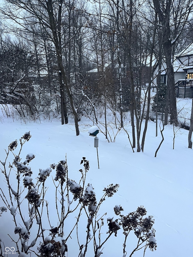 8550 Tidewater Ct, Indianapolis, IN 46236 - view of yard layered in snow