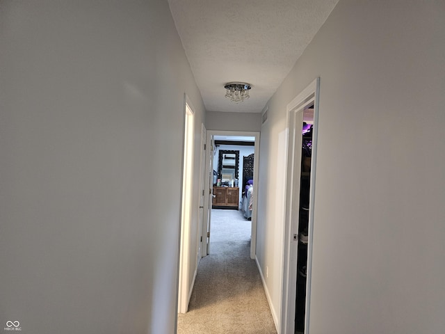 8423 Mud Creek Rd, Indianapolis, IN 46256 - photo 26