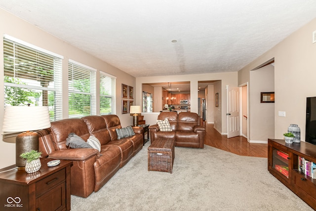 11820 Stepping Stone Dr, Fishers, IN 46037 - living area with carpet floors and a chandelier