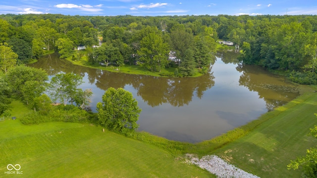 339 Honey Locust Pl, North Vernon, IN 47265 - drone / aerial view of a nearby body of water