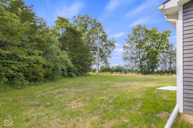 339 Honey Locust Pl, North Vernon, IN 47265 - view of green lawn
