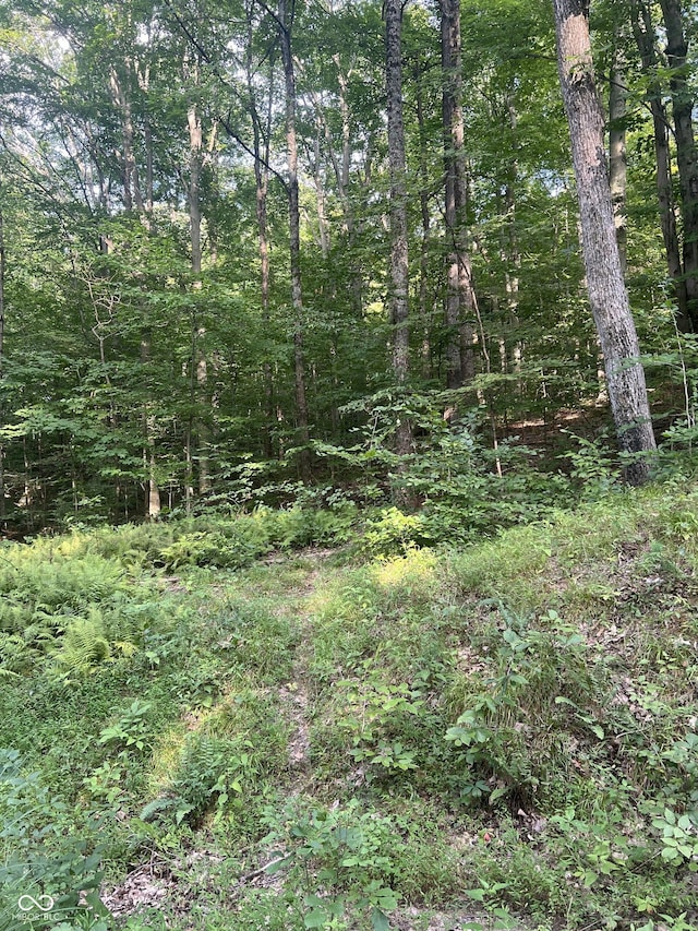 0 E Sunnyslope Dr, Martinsville, IN 46151 - photo 1