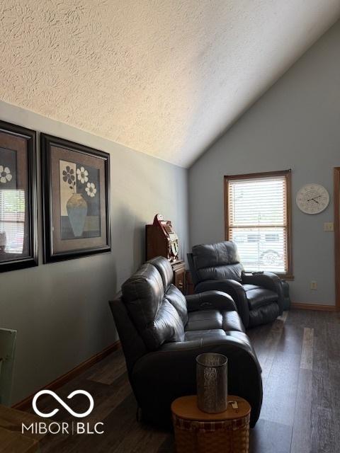 18 Hough St, Greenfield, IN 46140 - living area with vaulted ceiling, wood finished floors, and a textured ceiling