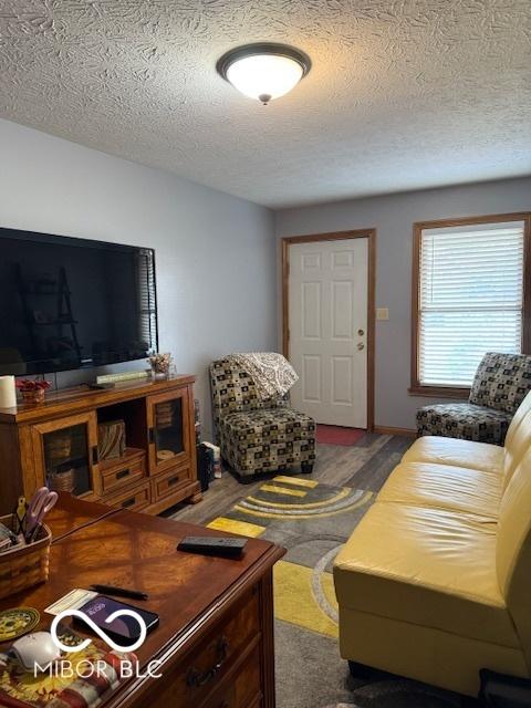 18 Hough St, Greenfield, IN 46140 - living area with a textured ceiling