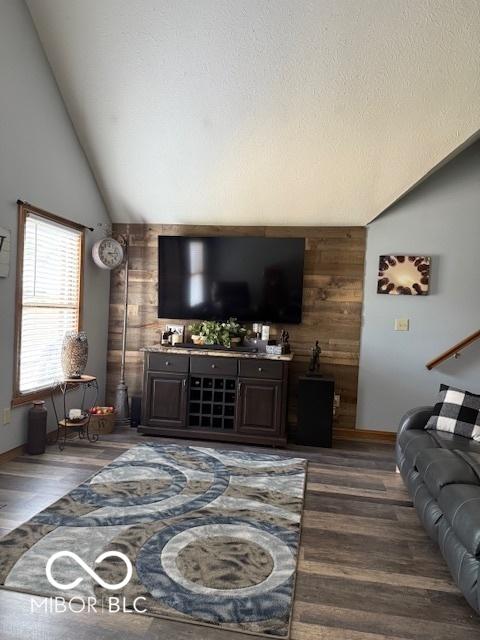 18 Hough St, Greenfield, IN 46140 - living room with vaulted ceiling, dark wood-style floors, and wood walls