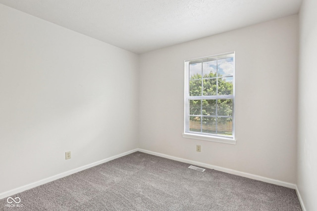 373 Austin Dr, Avon, IN 46123 - photo 26