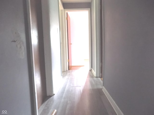 9138 E 18th St, Indianapolis, IN 46229 - photo 6