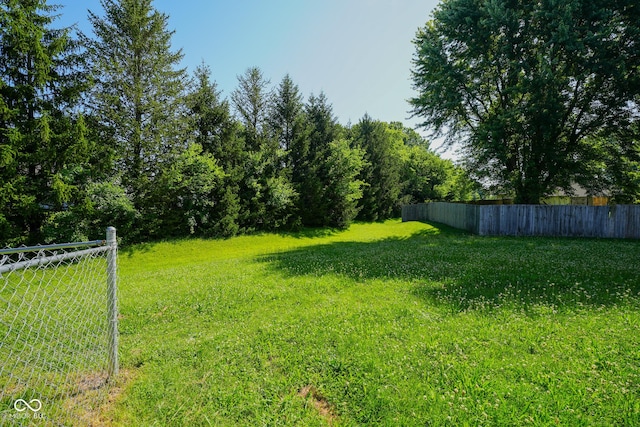 6029 Sycamore Forge Dr, Indianapolis, IN 46254 - view of yard
