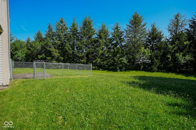 6029 Sycamore Forge Dr, Indianapolis, IN 46254 - view of yard