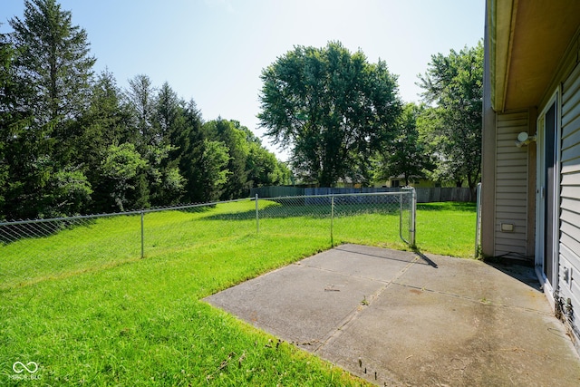 6029 Sycamore Forge Dr, Indianapolis, IN 46254 - view of yard featuring a patio area