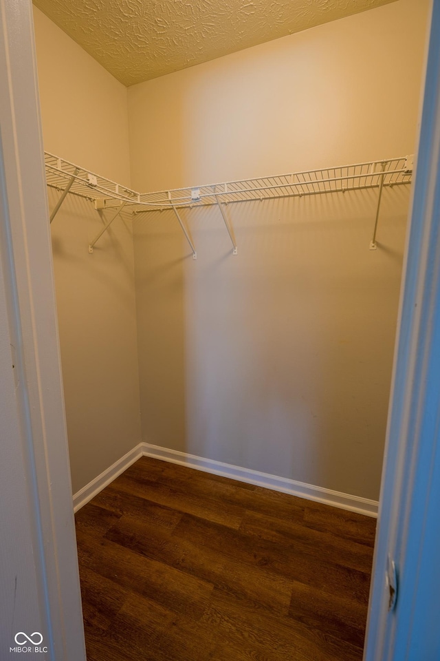 6029 Sycamore Forge Dr, Indianapolis, IN 46254 - walk in closet with dark wood finished floors